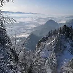 Zamocek Matiasovce